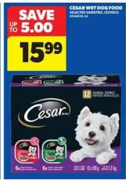 Real Canadian Superstore Cesar Wet Dog Food offer