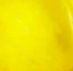 Kim Phat CANARY MELON offer