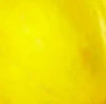 Kim Phat CANARY MELON offer