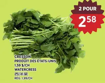 Kim Phat WATERCRESS offer