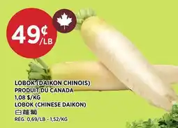 Kim Phat LOBOK (CHINESE DAIKON) offer
