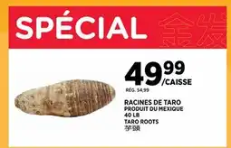 Kim Phat TARO ROOTS offer