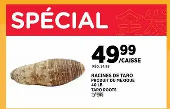 Kim Phat TARO ROOTS offer