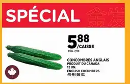 Kim Phat ENGLISH CUCUMBERS offer