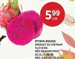 Kim Phat RED DRAGON FRUIT offer