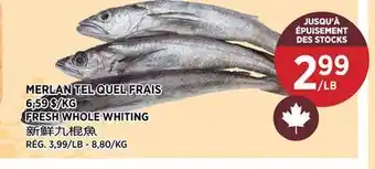 Kim Phat FRESH WHOLE WHITING offer