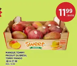 Kim Phat TOMMY MANGO offer