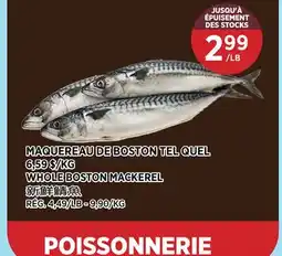 Kim Phat WHOLE BOSTON MACKEREL offer