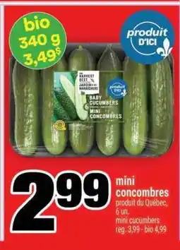 Super C mini concombres offer