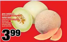 Super C gros cantaloup ou melon miel offer