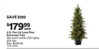 Michaels 5 ft. Pre-Lit Luna Pine entryway Tree offer