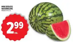 Metro MINI SEEDLESS WATERMELONS offer