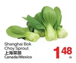 T&T Supermarket SHANGHAI BOK CHOY SPROUT offer