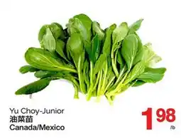 T&T Supermarket YU CHOY-JUNIOR offer