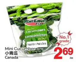 T&T Supermarket MINI CUCUMBERS offer