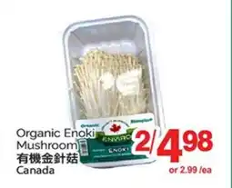 T&T Supermarket ORGANIC ENOKI MUSHROOM offer