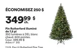 Michaels Pin Rutherford illuminé de 7,5 pi offer