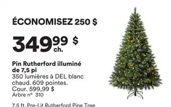 Michaels Pin Rutherford illuminé de 7,5 pi offer