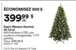 Michaels Sapin Weston illuminé de 7,5 pi offer