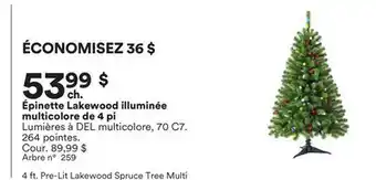 Michaels Épinette Lakewood illuminée multicolore de 4 pi offer