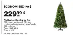 Michaels Pin Hudson illuminé de 7 pi offer