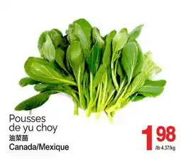 T&T Supermarket POUSSES DE YU CHOY offer
