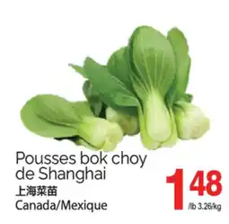 T&T Supermarket POUSSES BOK CHOY DE SHANGHAI offer