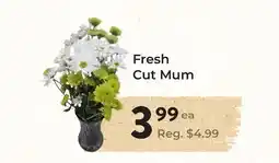 Marche Leo's Fresh Cut Mum offer