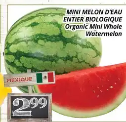 Supermarché PA MINI MELON D'EAU ENTIER BIOLOGIQUE | Organic Mini Whole Watermelon offer