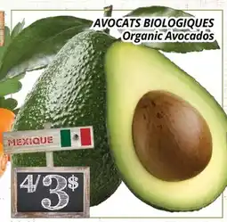 Supermarché PA AVOCATS BIOLOGIQUES | Organic Avocados offer