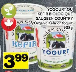 Supermarché PA YOGOURT OU KÉFIR BIOLOGIQUE SAUGEEN COUNTRY | Organic Kefir or Yogurt offer