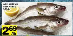 Supermarché PA MERLAN FRAIS | Fresh Whiting offer