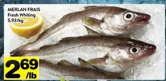 Supermarché PA MERLAN FRAIS | Fresh Whiting offer