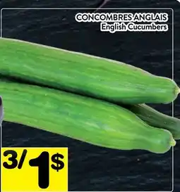 Supermarché PA CONCOMBRES ANGLAIS | English Cucumbers offer