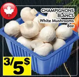 Supermarché PA CHAMPIGNONS BLANCS | White Mushrooms offer