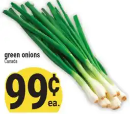 Marché Adonis Green onions offer