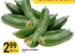 Marché Adonis Lebanese cucumbers offer