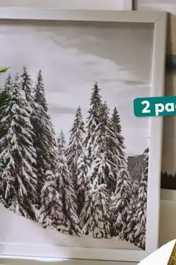 Giant Tiger 2 pack framed canvas art offer