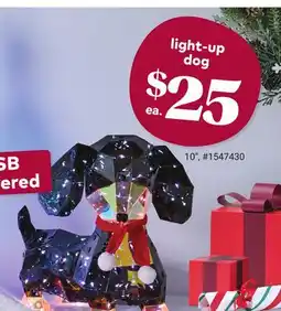 Giant Tiger light-up dog offer