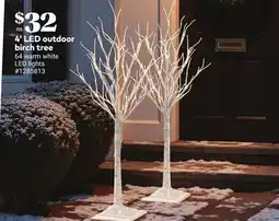 Giant Tiger 4' LED outdoor birch tree offer