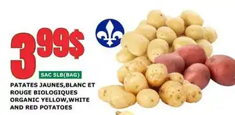 Marches Tau PATATES JAUNES, BLANC ET ROUGE BIOLOGIQUES offer