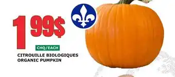 Marches Tau Citrouille Biologiques offer