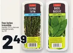 Metro FINES HERBES IRRÉSISTIBLE | IRRÉSISTIBLE FINE HERBS offer