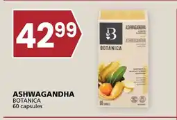 Rachelle-Bery Grocery ASHWAGANDHA BOTANICA offer