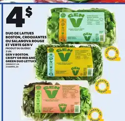 Provigo GEN V BOSTON CRISPY OR RED AND GREEN DUO LETTUCE, 2 UN offer