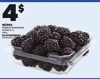 Provigo BLACKBERRIES, 170 G offer
