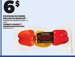 Provigo FARMER'S MARKET GREENHOUSE PEPPERS, 3 UN offer
