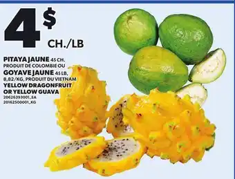 Provigo YELLOW DRAGONFRUIT OR YELLOW GUAVA offer
