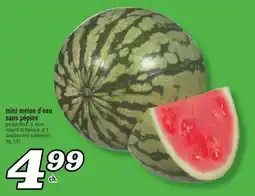 Marché Richelieu MINI MELON D'EAU SANS PÉPINS | SEEDLESS MINI WATERMELON offer