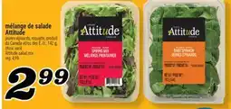Marché Richelieu MÉLANGE DE SALADE ATTITUDE | ATTITUDE SALAD MIX offer